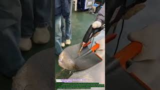Amazing Laser Cleaning Technology Powerful Rust & Paint Removal Tool Industrial Laser Cleaner Demo.