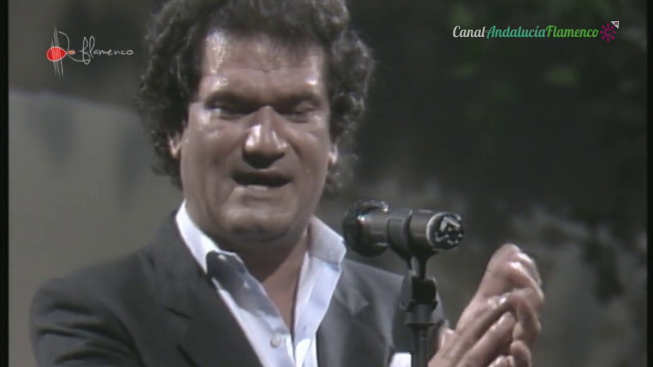 Bulerías. El Mono de Jerez. 1990