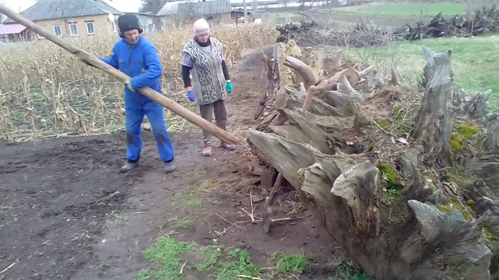 Коли сусід падло -дайте мені точку опори і я переверну землю