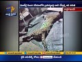 Man Eating Leopard Shot Dead In Rajaji Tiger Reserve