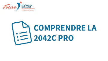 Comment remplir la déclaration 2042 C en ligne ?