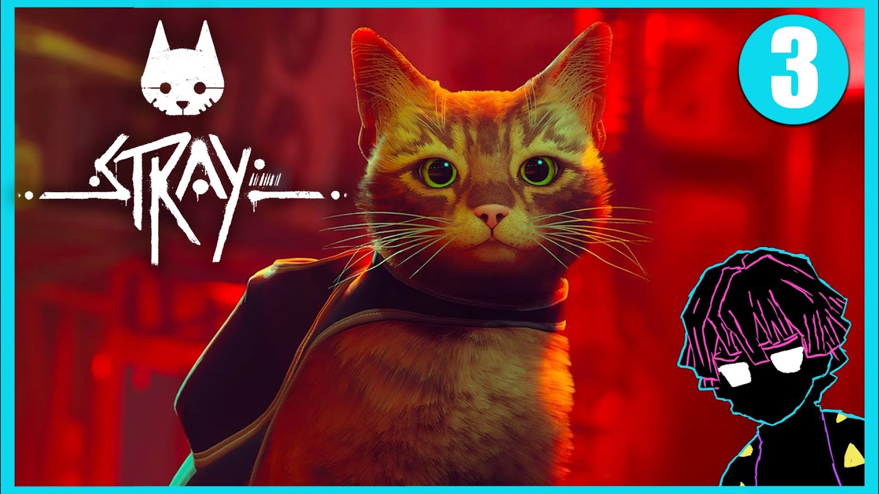 🔴 LIVE│short stray stream (maybe)