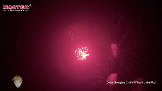 4 shell Color Changing Dahlia W/ Red Strobe Pistil#fireworks