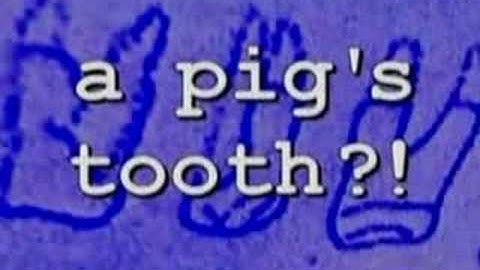 Evolution VS. Creation- #3 Missing Link Found