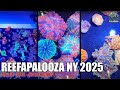 Reefapalooza NY 2025 Tour | HUGE Corals, Saltwater Fish & New Reef Tank Gear! | Hilary on Location