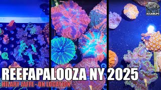 Reefapalooza Ny 2025 Tour Huge Corals, Saltwater Fish New Reef Tank Gear Hilary On Location