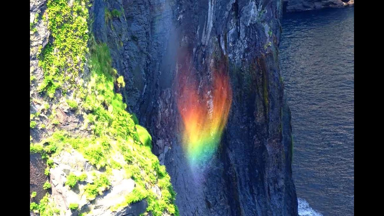 ☆北海道・知床☆原生林と断崖トレッキング～ガイドブックには載らない