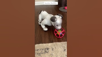 AI-Powered Robot Dog Learns to Find Colors During Training #sony #aibo #smartdog