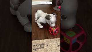 Ai-Powered Robot Dog Learns To Find Colors During Training