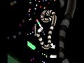 【slither.io】深夜の練習🐍 #スリザリオ#エンジョイ