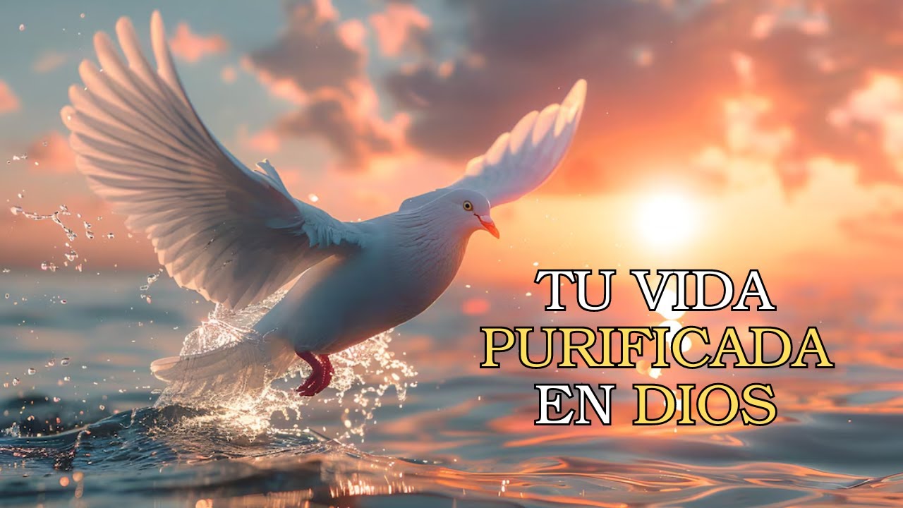EL ESPIRITU SANTO va a Purificar TU VIDA, aquí sabrás CÓMO - YouTube