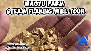 STEAM FLAKING MILL TOUR | WHY PROCESSING DISCIPLINE MATTERS