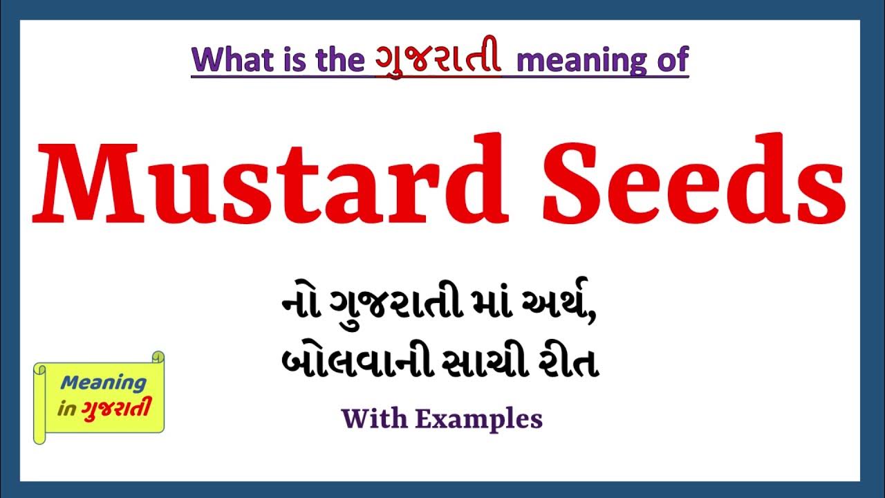 Mustard Seeds Meaning in Gujarati Mustard Seeds નો અર્થ શું છે