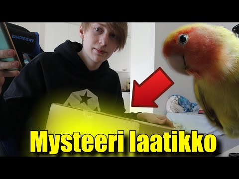 Mysteeri Laatikko