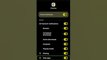 Stop Unwanted Chrome Notifications! #learnaccessiblethings