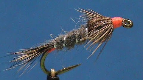 Beginner Fly Tying a Hot Spot Red Squirrel Nymph with Jim Misiura