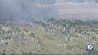 Wildfire burns field in northwestern Miami-Dade