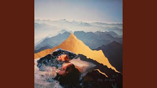 Celebrity No Surprise Net Worth