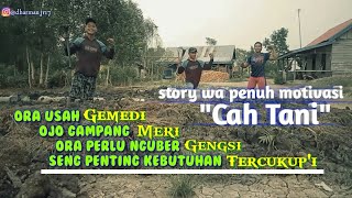 Story Wa Aku cah tani.