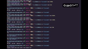 Debug a go program in Neovim with vscode launch.jason configuration.