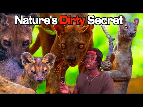 The Animal Not Safe for School