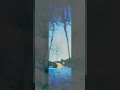 Panoramic Pinhole Photograph #shorts #photography #film