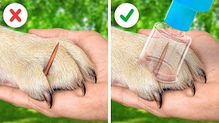 USEFUL GADGETS AND HACKS FOR PET OWNERS