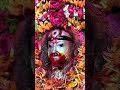#tarapith #love #maashakti#bhakti#song #shyam #devi #maa #kali  #viral #music #video #life #mata