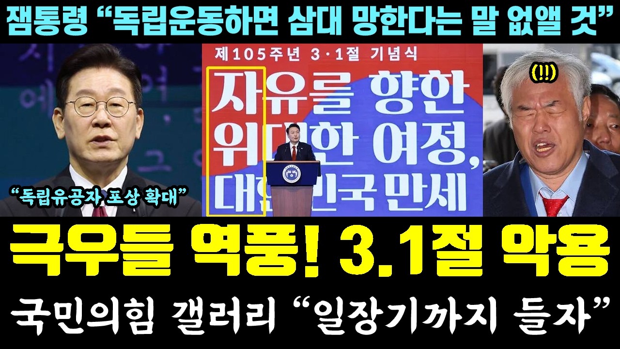 극우들 집회 역풍!! 3.1절 악용한 돈벌이 발각;; 국민의힘 갤러리 