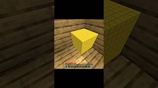 Crazy illusion #minecraft #fxyoeditz #shorts #memes