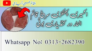 Akseeri Phatkari Surkh Qaim Unnar Darr Kandyari Booti