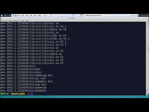 063 - Installing Git Diff and Merge tool p4merge for Linux Lab