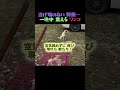 逃げ場のない 野原で 一晩中 震えていた 子犬… 傷だらけの 奇跡の 救出劇