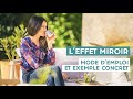 Leffet miroir  mode demploi et exemple concret