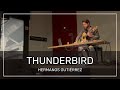 Thunderbird  hermanos gutirrez cover  live at edit