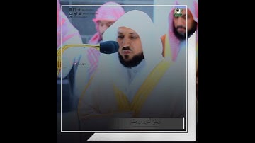 (إن هذا كان لكم جزاءً وكان سعيكم مشكورا) تلاوة خاشعة الشيخ ماهر المعيقلي