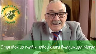 Отрывок из главы новой книги Владимира Николаевича Мегре