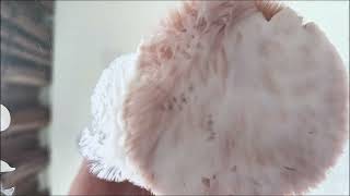 ASMR沉浸式角色扮演:【黑心美容院】神秘理疗,你敢来吗?(超解压轻语助眠)