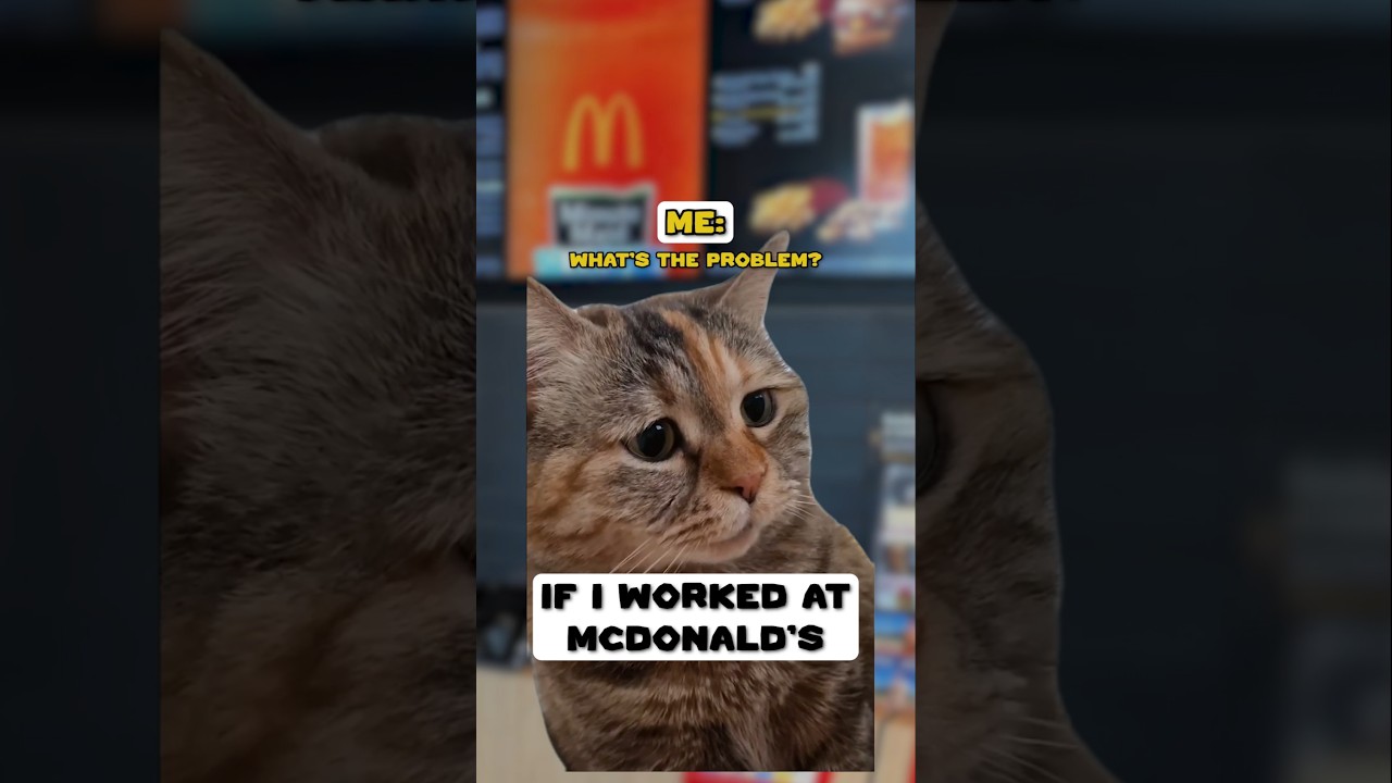 If I Worked At McDonald's 🥹 (CAT VERSION🐈) | Reimagined 