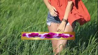Love Is A Many Splendored Thing  (1962)  -  ANDY WILLIAMS  -  Lyrics_Full-HD