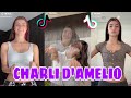 Charli D'amelio New TikTok Dances Compilation