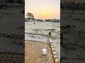 Simple life in Dessert