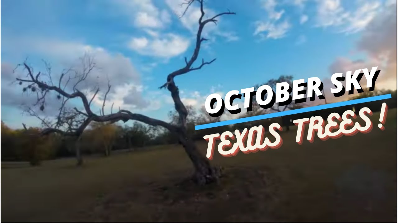 FPV Drone Footage San Antonio, Texas YouTube