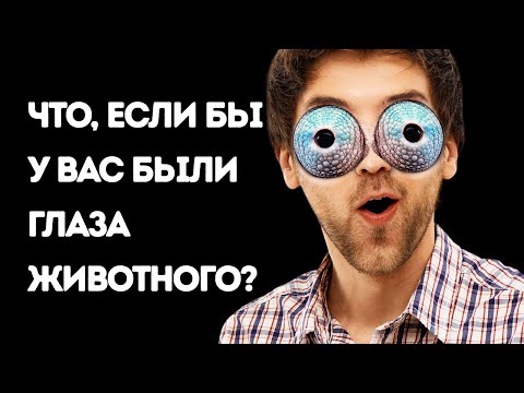 Видео: Сонсголын рецептор уу?