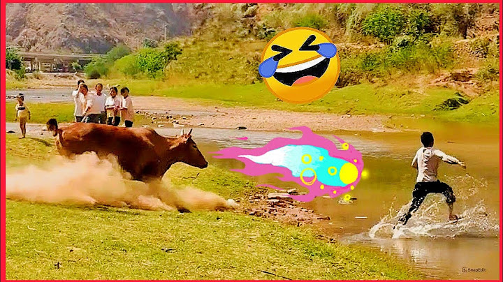 TRY NOT TO LAUGH 😂 Best Funny Videos Of 2025 😂