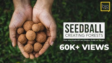 SEED BALL | Story of Creating Forests through SeedBalls