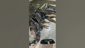 Стоило мне отвернуться они уже снова там лежали нравится им в куче 