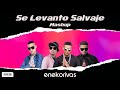 Se levanto Salvaje - Daddy Yankee, Don Miguelo, Plan B (Eneko Rivas Mashup)