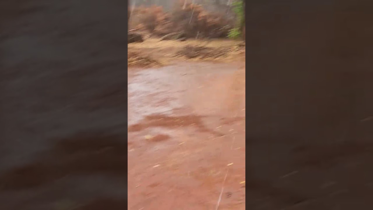 Chuva na Terra Seca