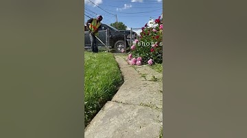 ‼️This How You Edge with A String Trimmer 🌱 #shorts #edging